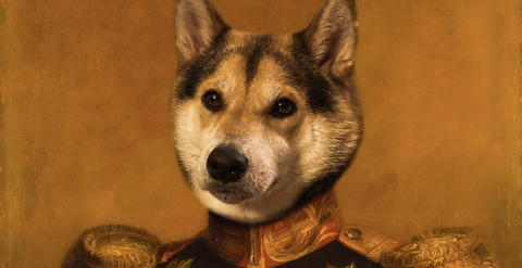 viksi_vip OnlyFans Leaked - LeakedBeast