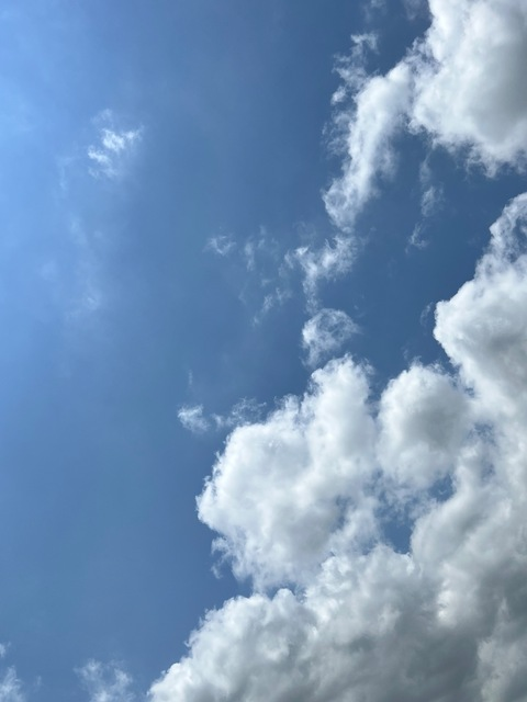 kuriouskassie onlyfans leaked picture 1