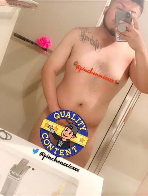 pinchenecio onlyfans leaked picture 1